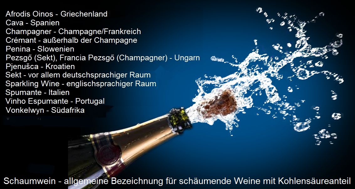 Sparkling Wine Wein Plus Wine Lexicon